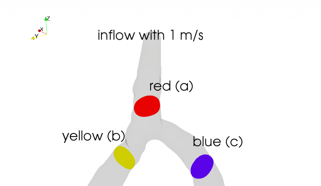 At which place the blood flow reaches the highest velocity? Is it (a), (b), or (c)?