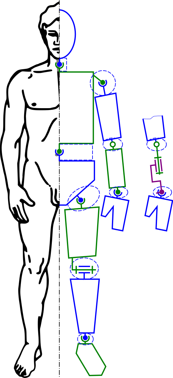 Visualising Human Skeletal Motion