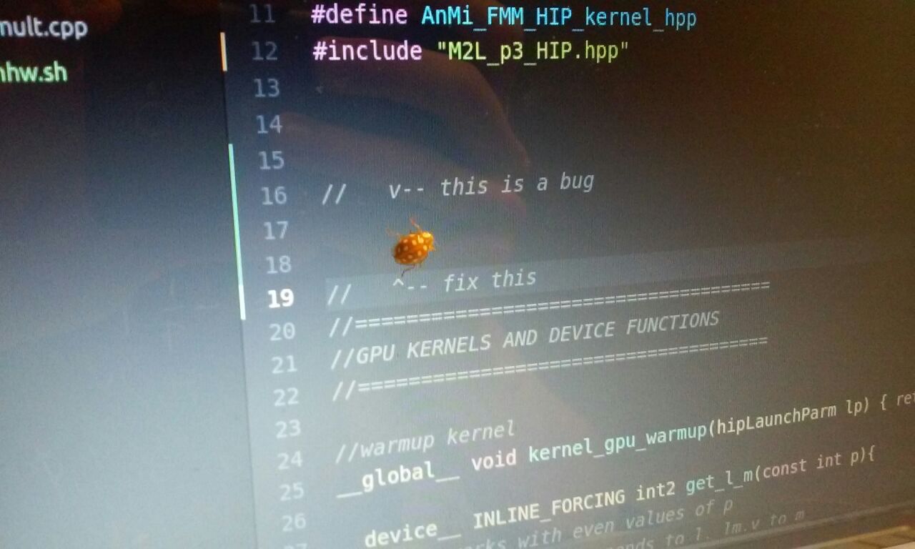 ladybug, c++, comment, bug