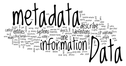 Automated Extraction of Metadata from Climate Simulations: Project Wrap-Up