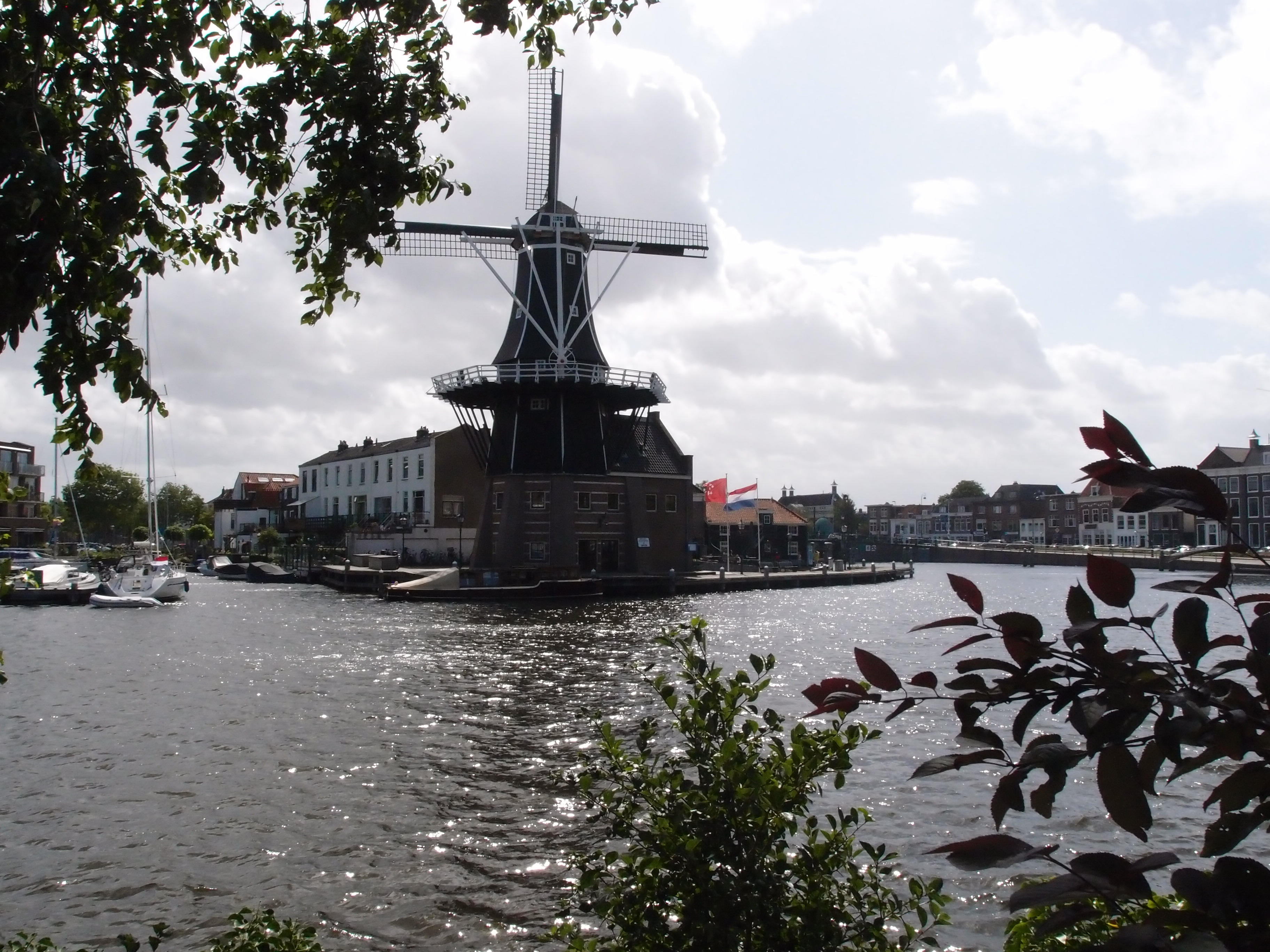 Windmill in Haarlem